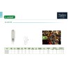 LAMPE LED G4 2W CW 12VAC/DC 180LM