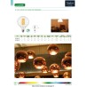 LAMPE GLOBE FILAMENT LED 6W 4000K CW CLARA E27 800LM DIMMABLE