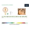 LAMPE GLOBE FILAMENT LED 6W 2200K DOURADA E27 720LM DIMMABLE