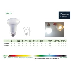 LAMPE LED R63 8W E27 4000K CW 110 230V 750LM