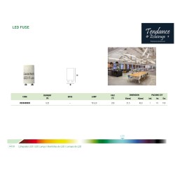LED FUSE FILLDAY