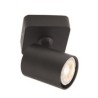 SPOT SAILLI CAMEO  1X42W E27 D150 NOIR
