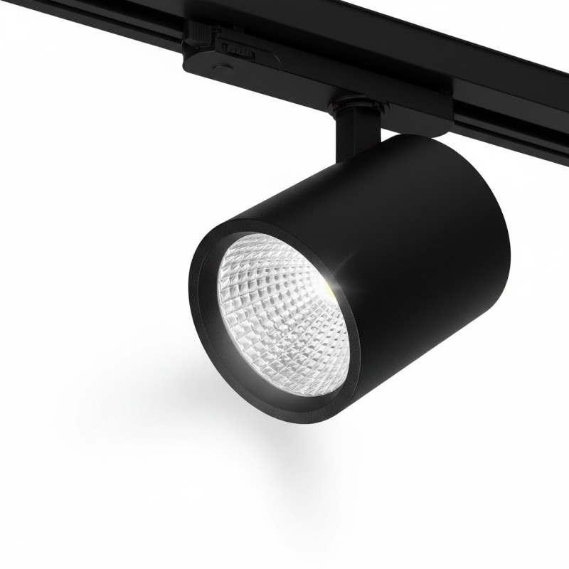 SCALA : La Précision au Service de vos Détails